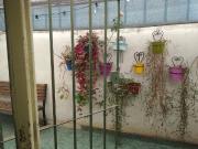 PH 3 AMBIENTES BANFIELD