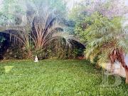 PH 5 AMB con JARDIN en Villa Pueyrredón