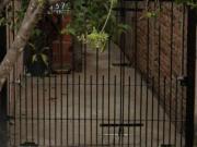 PH en Florencio Varela