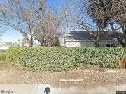Pheasant, OAKLEY, CA 94561