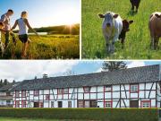 PHI AACHEN Historisches Fachwerkhaus mit modernem...