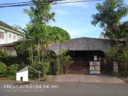 Philam Village House and Lot