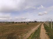 Piano Palmatico snc 6330mq