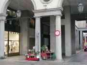 Piante e fiori in vendita a Torino