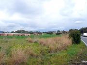 Picareddu zona 10 vani 500mq