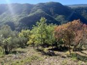 PIERREFEU, appartement à vendre, Studio, 1567 m²