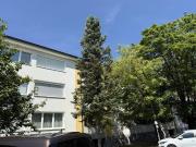 Piesting charmantes Wohnen mit Fernblick!