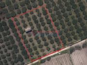 PIETRETAGLIATE – Terreno agricolo di 4.000 mq ca. +...