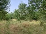 Pieusse 11300 Achat / Vente terrain