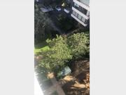 Pieza Dpto remodelado moderno