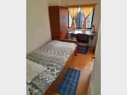 Pieza Tocornal Cerro Baron