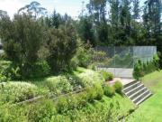 PIFO QUINTA DE VENTA