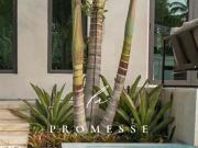 PIGNADA Maison Contemporaine