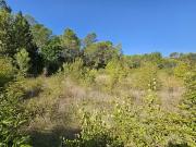 Pignans 83790 Achat / Vente terrain