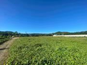 PILILLA FARM LOT FOR SALE Antipolo Heigghts