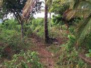 PILILLA NEAR WINDMILL AGRI LOT SALE