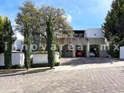 Pinar en Prado Largo