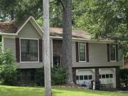 Pine Forest Cir