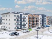 Pine: White Cabinets – 225 Peguis, Winnipeg, MB