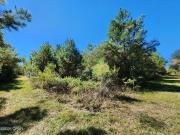 Pineridge Church Rd, Marianna, FL 32448