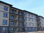 Pines Edge 1 Bedroom Apartment for Rent at 1062 Dorothy...