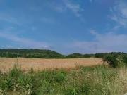 Pinet 34850 Programme neuf terrain neuf à vendre