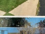 Pinewood Place Apartments 1BR