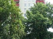 Pinneberg Waldenau 2 Zi. Wohnung vermietet als...