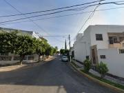 Pino, Villas del Descanso, Jiutepec, Morelos, México....