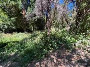 Pioneros km 1 Bº cerrado El Estribo