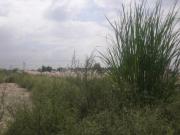 Piplehda Residential Plot For Sale Ghaziabad