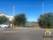 PISANA REGIONE LAZIO VIA MONTE STALLONARA TERRENO