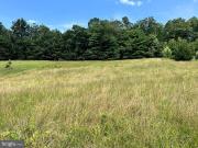 Pisgah State Rd, Shermans Dale, Plot For Sale