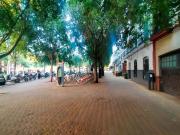 Piso, Alameda, Sevilla