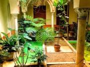 Piso Alquiler Sevilla