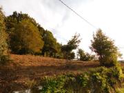 Piso Alquiler Vacacional Pontevedra