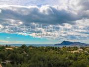 Piso, Altea