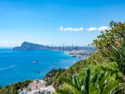 Piso, Altea Piso, Altea