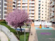 Piso, Arrabal, Zaragoza