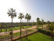 Piso, Ayamonte