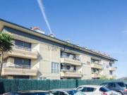 Piso, Barcena de Cicero