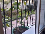 Piso, Calvario, Torremolinos