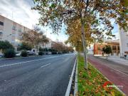 Piso, Carretera Trassierra Colonia de la Paz, Córdoba