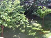 Piso, Casablanca, Zaragoza