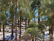 Piso, Casco Histórico Santa Cruz, Alicante / Alacant