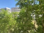 Piso, Cercadilla Medina Azahara, Córdoba