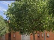Piso, Ciudad Real