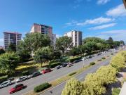 Piso, Coia, Vigo