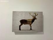 Piso completamente reformado en la plena Avenida...