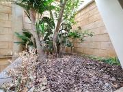 Piso con vista mar en Portals Nous